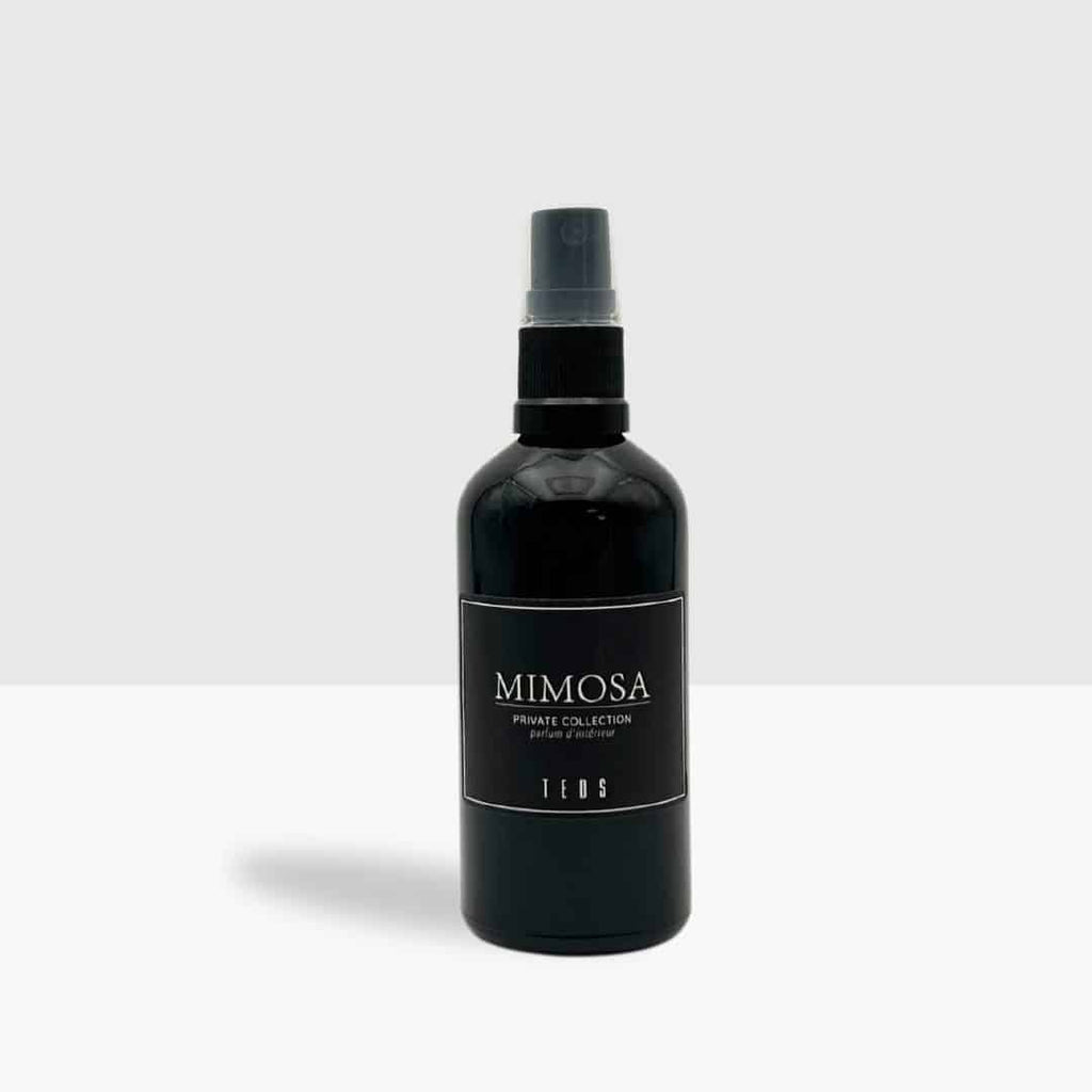Carspray Glas 100ml
