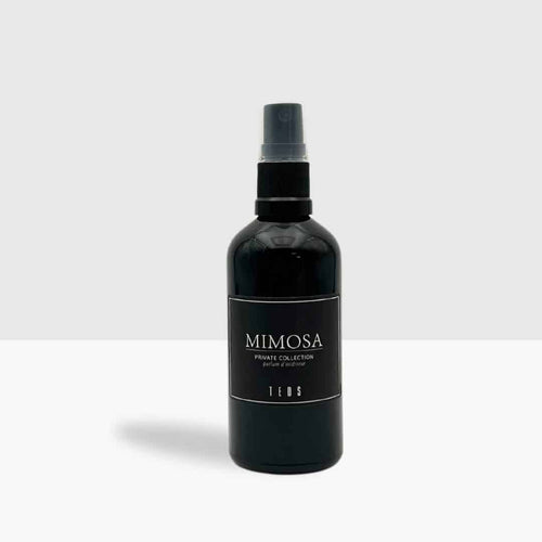 Carspray Glas 100ml
